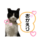ゆっしースタンプ2（個別スタンプ：3）