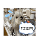 ゆっしースタンプ2（個別スタンプ：8）