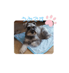 シュナのうみ（個別スタンプ：8）