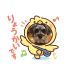 シュナのうみ（個別スタンプ：16）