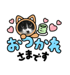 いろいろ使える、日常ねこウラスタンプ2（個別スタンプ：1）
