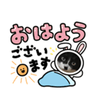 いろいろ使える、日常ねこウラスタンプ2（個別スタンプ：3）