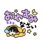 いろいろ使える、日常ねこウラスタンプ2（個別スタンプ：4）