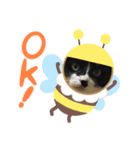 いろいろ使える、日常ねこウラスタンプ2（個別スタンプ：8）