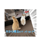 たっちゃんみっちゃん（個別スタンプ：5）