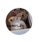 たっちゃんみっちゃん（個別スタンプ：7）