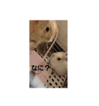 たっちゃんみっちゃん（個別スタンプ：10）
