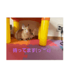 たっちゃんみっちゃん（個別スタンプ：11）