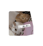 たっちゃんみっちゃん（個別スタンプ：14）
