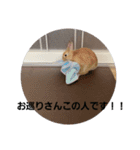たっちゃんみっちゃん（個別スタンプ：15）