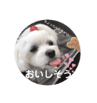 すあまとちょっとゆきちゃん（個別スタンプ：6）