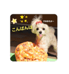 すあまとちょっとゆきちゃん（個別スタンプ：8）