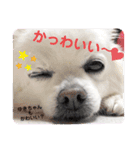 すあまとちょっとゆきちゃん（個別スタンプ：9）