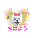 すあまとちょっとゆきちゃん（個別スタンプ：14）
