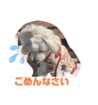 すあまとちょっとゆきちゃん（個別スタンプ：16）
