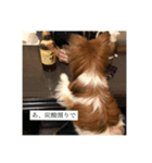 ジャンキーチャッピー（個別スタンプ：6）