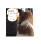 ジャンキーチャッピー（個別スタンプ：8）