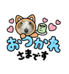「さら」のスタンプ（個別スタンプ：5）