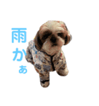 そうちゃんとココ（個別スタンプ：6）