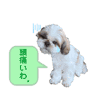 そうちゃんとココ（個別スタンプ：8）
