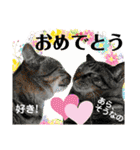 ファニーなニャンズ 2021  最高にゃんこ（個別スタンプ：6）