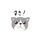 エキゾチックな猫くん（個別スタンプ：7）