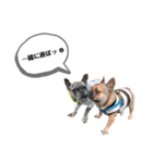 フレブル..UGO（個別スタンプ：6）