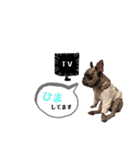 フレブル..UGO（個別スタンプ：11）