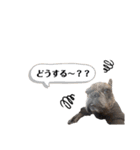 フレブル..UGO（個別スタンプ：16）