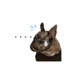 フレブル..UGO（個別スタンプ：17）