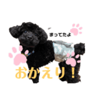らき＆くーちゃん＆ぽちゃんスタンプ2（個別スタンプ：4）