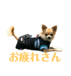 小さな王様2（個別スタンプ：1）