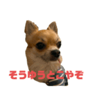 小さな王様2（個別スタンプ：5）