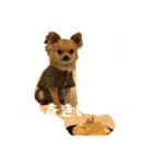 小さな王様2（個別スタンプ：6）