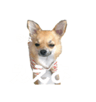 小さな王様2（個別スタンプ：7）