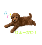 こはるトイプー♡（個別スタンプ：11）