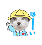 野良猫だったハム❶（個別スタンプ：28）