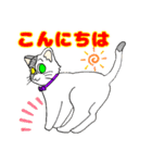 猫のJ君（個別スタンプ：2）