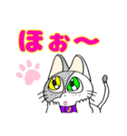 猫のJ君（個別スタンプ：16）