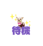 cocoOne.（個別スタンプ：4）