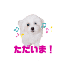 cocoOne.（個別スタンプ：5）