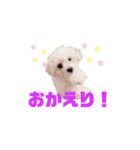 cocoOne.（個別スタンプ：6）