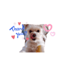 cocoOne.（個別スタンプ：8）