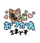 スタンプハチ（個別スタンプ：9）