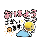 かわいいインコスタンプ4(可愛いー)（個別スタンプ：25）