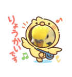 かわいいインコスタンプ4(可愛いー)（個別スタンプ：28）
