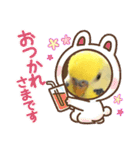 かわいいインコスタンプ4(可愛いー)（個別スタンプ：29）