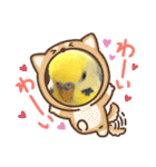 かわいいインコスタンプ4(可愛いー)（個別スタンプ：30）