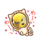 かわいいインコスタンプ3(可愛いー)（個別スタンプ：30）
