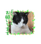 長沼ちちりくん（個別スタンプ：8）